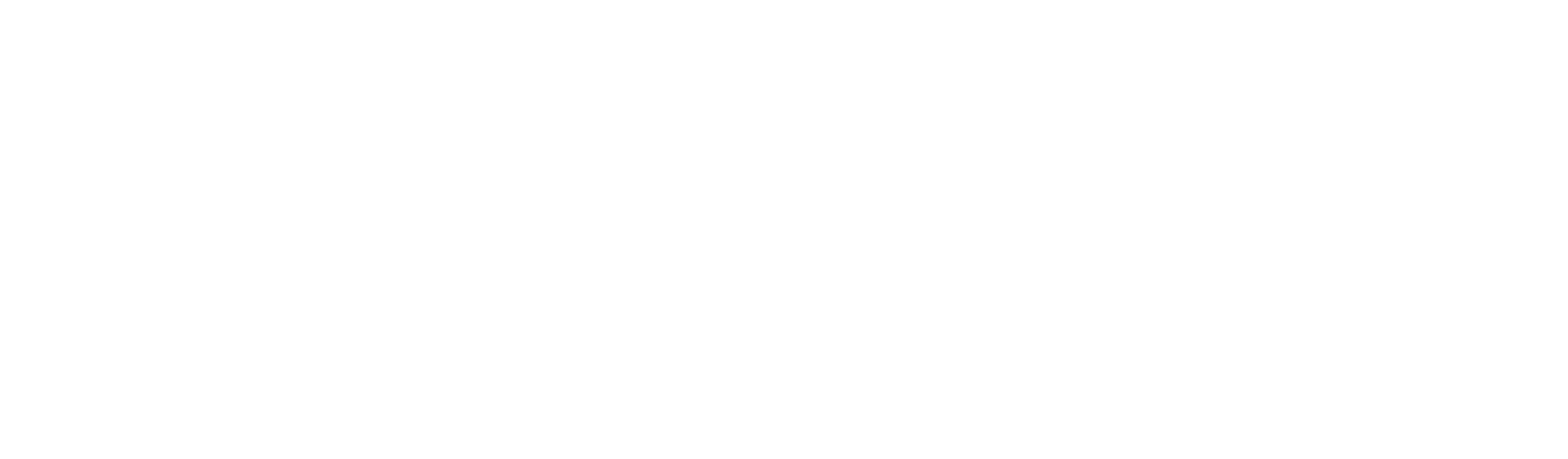 Everfox Company Logo